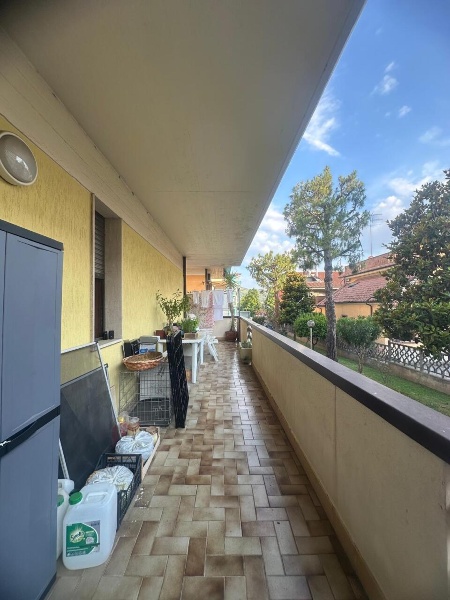 immagine annuncio 10 di 14