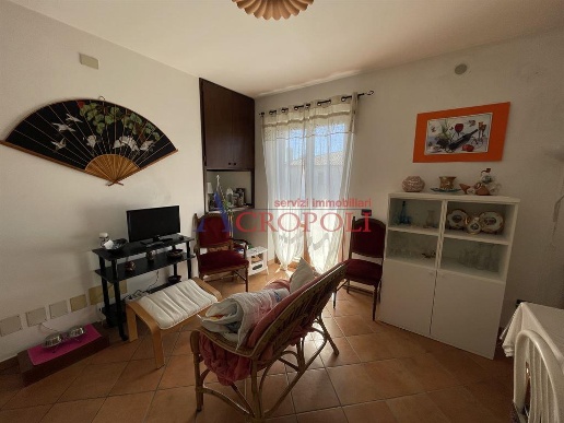 immagine annuncio 1 di 14