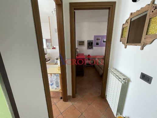 immagine annuncio 7 di 14