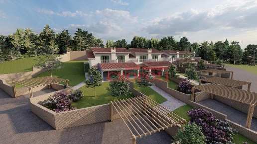 immagine annuncio 2 di 14