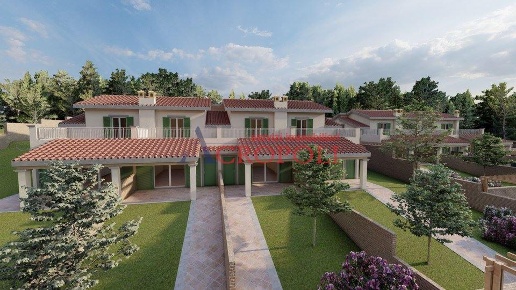 immagine annuncio 3 di 14