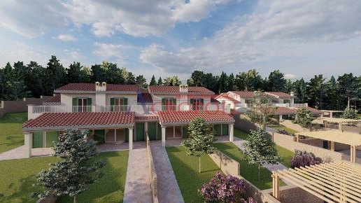 immagine annuncio 5 di 14