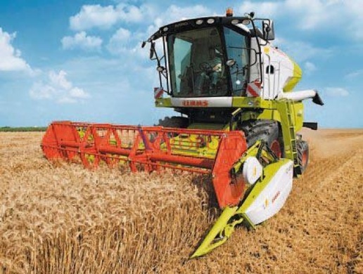 immagine annuncio 2 di 8