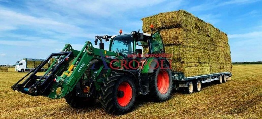 immagine annuncio 3 di 8