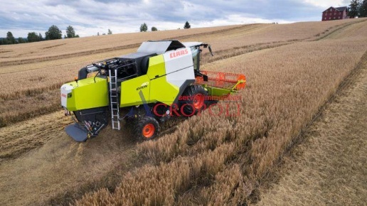 immagine annuncio 6 di 8