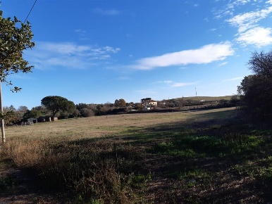 Foto Terreno agricolo a Bracciano di 3000 m² in vendita