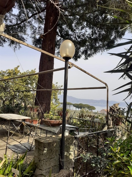 immagine annuncio 3 di 12