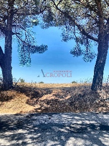 Foto Terreno agricolo a Anguillara Sabazia di 30100 m² in vendita