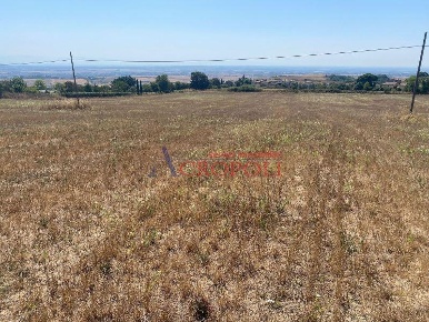 Foto Terreno agricolo a Anguillara Sabazia di 30100 m² in vendita