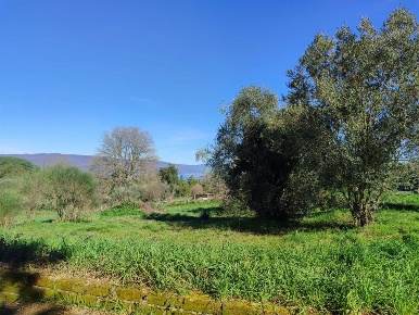 Foto Terreno edificabile a Bracciano di 1875 m² in vendita