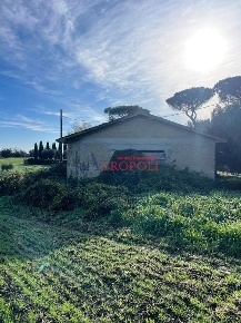 Foto Magazzino in Via del Casale di Sant'Angelo, Fiumicino Torrimpietra