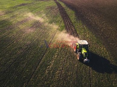 Foto Terreno agricolo a Fiumicino Torrimpietra in vendita