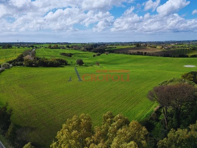 Foto Terreno agricolo in Via del Casale di Sant'Angelo, Fiumicino