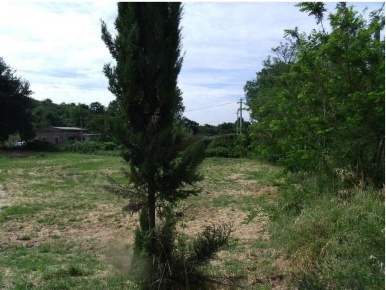 Foto Terreno edificabile a Bracciano di 1320 m² in vendita