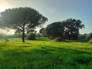 Foto Terreno agricolo a Bracciano di 60000 m² in vendita