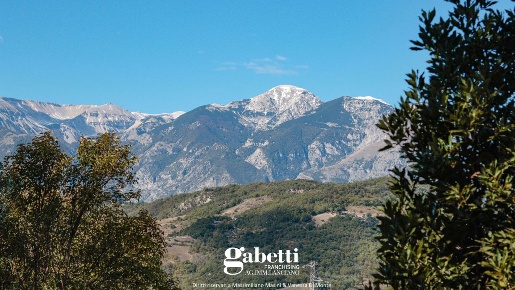 Foto Casa indipendente in Via San Pietro 70, Altino Centro di 380 m²