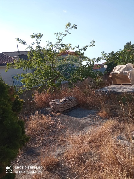 immagine annuncio 3 di 7