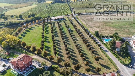 Foto Cessione attività in località oca, Lazise di 657 m² con 4 locali