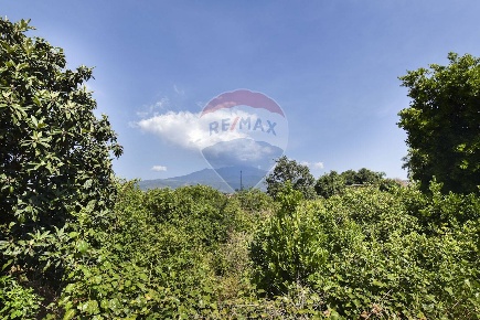 Foto Terreno agricolo in Via Chiuse, Acireale di 6000 m² in vendita