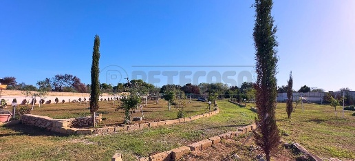 Foto Terreno agricolo in Via Stefano Catalano 5, Gallipoli di 4500 m²