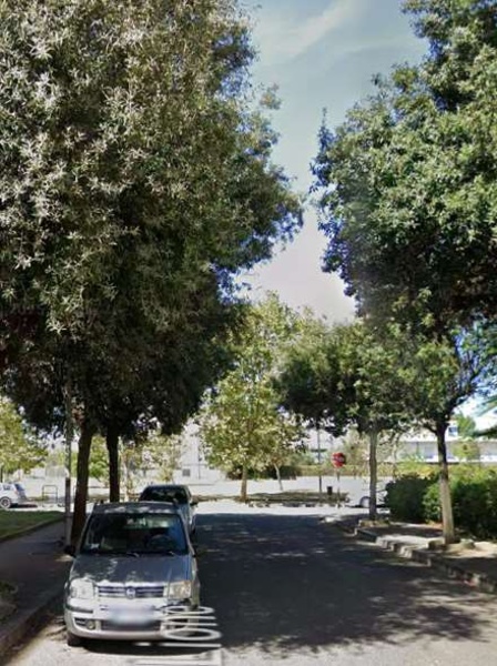 immagine annuncio 6 di 15