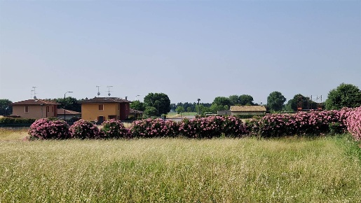 Foto Terreno edificabile a Cavriana Centro di 2000 m² in vendita