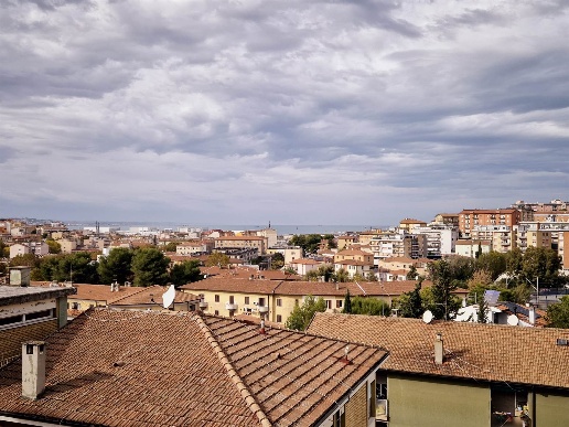 immagine annuncio 13 di 14