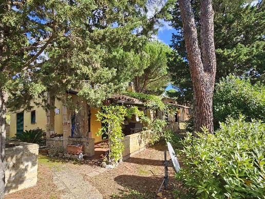 immagine annuncio 10 di 15