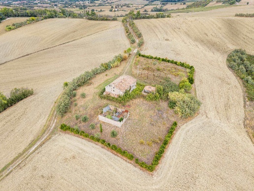 immagine annuncio 4 di 14