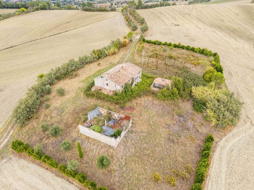 immagine annuncio 5 di 14