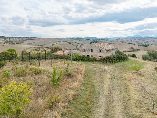 immagine annuncio 9 di 14