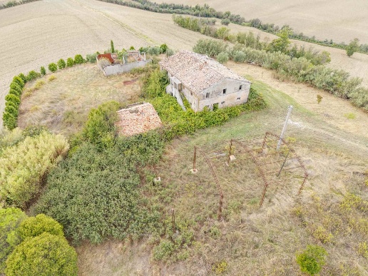 immagine annuncio 10 di 14