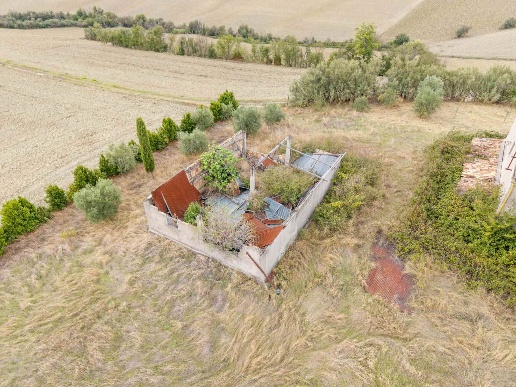 immagine annuncio 11 di 14