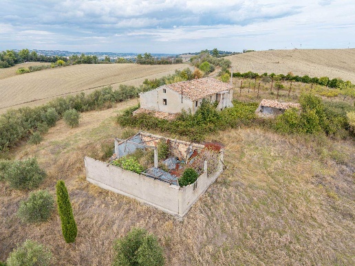 immagine annuncio 12 di 14