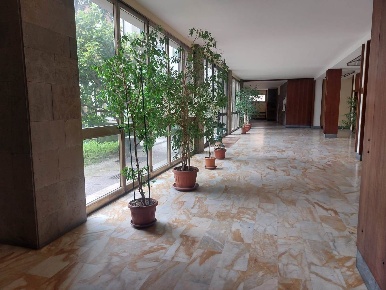 Foto Ufficio in viale milton, Firenze Bolognese di 55 m² con 2 locali