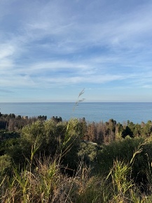 Foto Terreno agricolo in Contrada Tono, Messina di 5490 m² in vendita