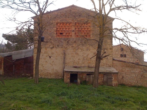 immagine annuncio 1 di 6