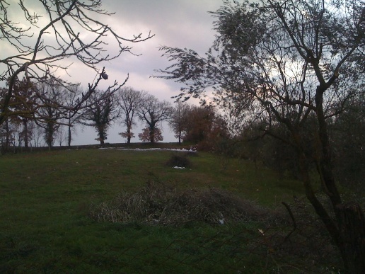 immagine annuncio 4 di 6