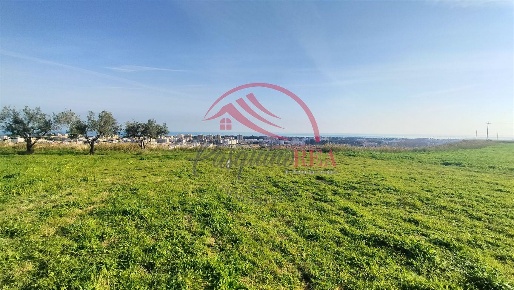 Foto Terreno commerciale a Campomarino di 5960 m² in vendita