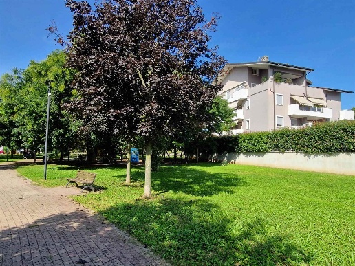 immagine annuncio 3 di 13