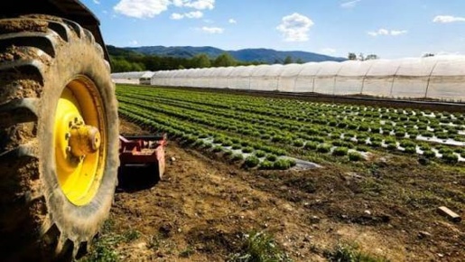 Foto Terreno agricolo a Bergamo Canovine in vendita