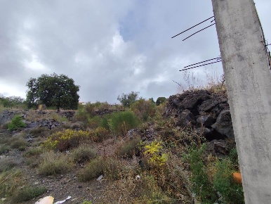 Foto Terreno edificabile a Pedara Centro di 3500 m² in vendita