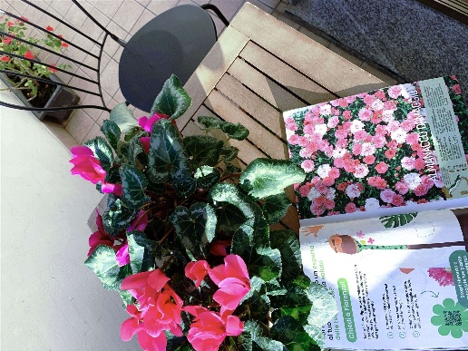 immagine annuncio 11 di 15