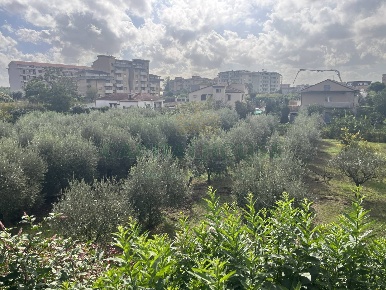 Foto Terreno residenziale in via grotte san lazzaro, Capua di 2700 m²