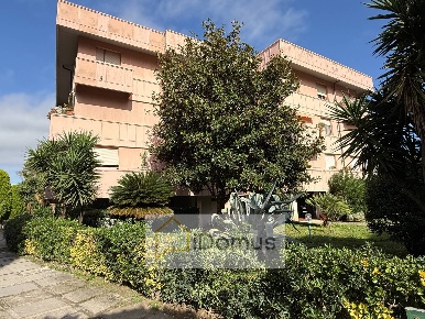 Foto Appartamento in Piazza Andrea Del Sarto, Pisa Porta Nuova - Ingegneria