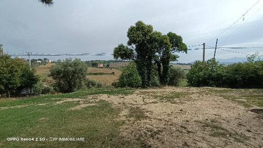 immagine annuncio 5 di 6