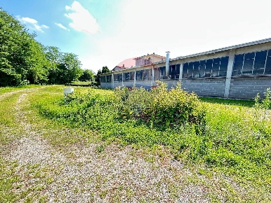 Foto Capannone industriale in Via Labriola, Borgo Ticino Centro di 980 m²