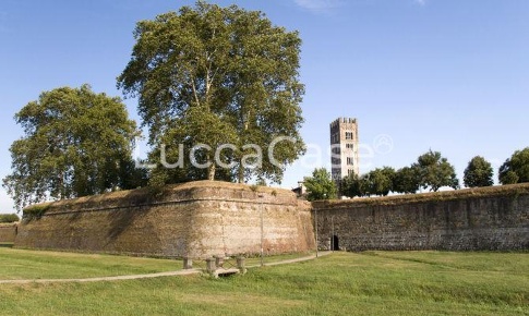 Foto Ufficio a Lucca San Concordio di 125 m² con 5 locali in affitto