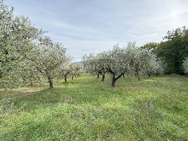 Foto Terreno agricolo a Perugia di 6831 m² in vendita