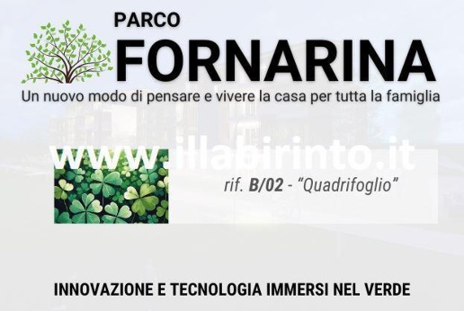 immagine annuncio 1 di 7